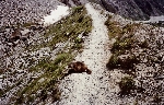 /Neige_Glace/2004/Images/823/Deweze 001Icon.jpg